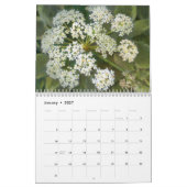 西部COの野生の花のスケッチのカレンダー カレンダー (1月 2027)