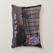 「西鍵のみ」猫と鶏の枕 アクセントクッション (正面(垂直))