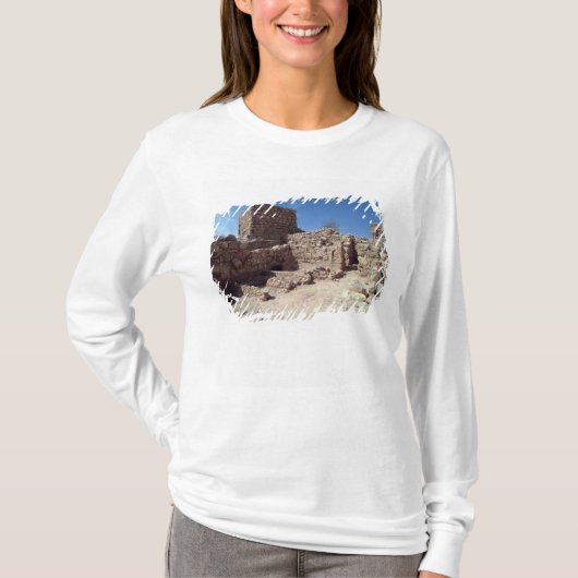 要塞宮殿の残物 Tシャツ (正面)
