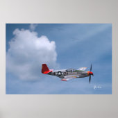 要求による赤い尾 ポスター (正面)