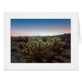 要領を得ない意見 (正面横)