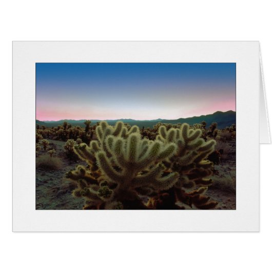 要領を得ない意見 (正面横)