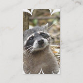 覆われたアライグマの名刺 名刺 (裏面)