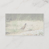 覆われたコリンウズラ 名刺 (裏面)