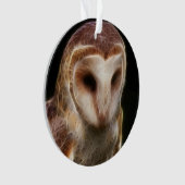 覆われたフクロウのフラクタル オーナメント (正面)