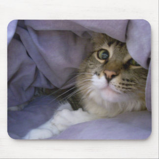 覆われた子猫のマウスパッド マウスパッド