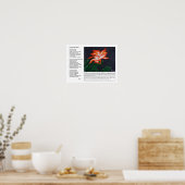 見えないが ポスター (キッチン)