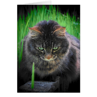 見えない遠くに