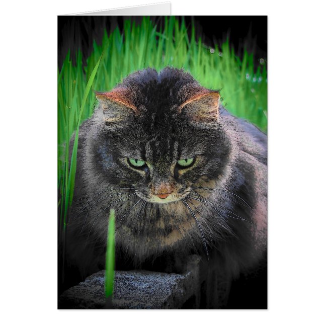 見えない遠くに (正面)