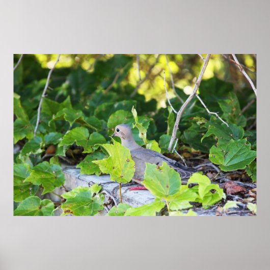 見えない ポスター (正面)