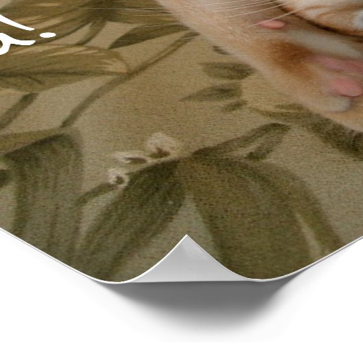 見えるぞ! ポスター (角)