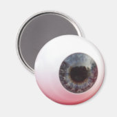 見えるぞ！ マグネット (正面/裏面)