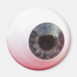 見えるぞ！ マグネット