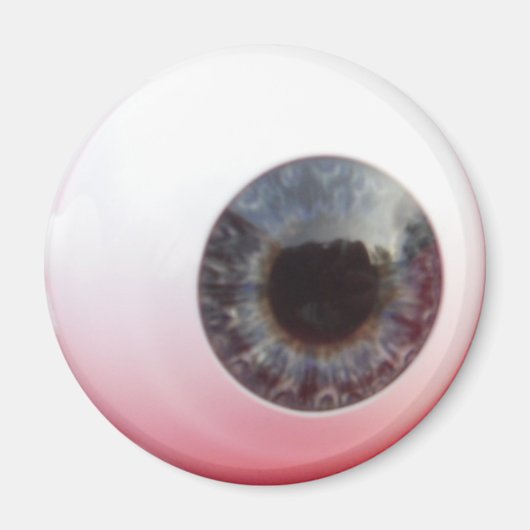 見えるぞ！ マグネット (正面)