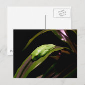 『見え隠れ』はがき ポストカード (正面/裏面)