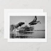 見かけるあのカモたち ポストカード (正面/裏面)