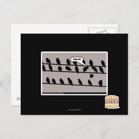 見せろ！ ポストカード (正面/裏面)