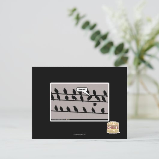 見せろ! ポストカード (スタンド正面)