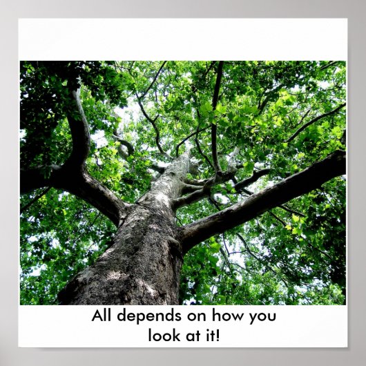 見た目が全てだ! ポスター (正面)