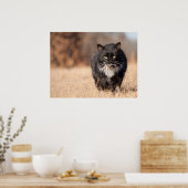 見た目が穏やかな ポスター (キッチン)