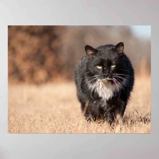 見た目が穏やかな ポスター (正面)