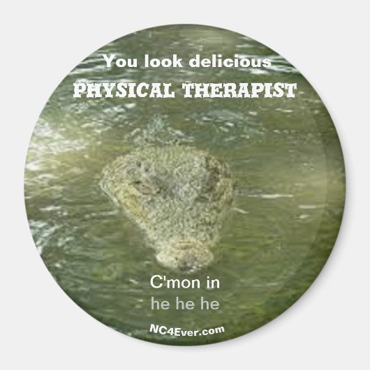 見た目が美味しい物理セラピスト磁石 マグネット (正面)