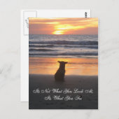 見た目じゃない。見た目のカードだ ポストカード (正面/裏面)