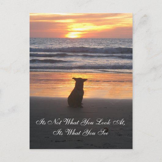 見た目じゃない。見た目のカードだ ポストカード (正面)