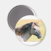 見た目のいい馬 マグネット (正面/裏面)