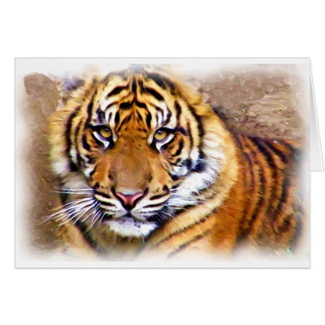 見た目 (正面横)