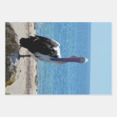 「見た目」のペリカン、ギフトラップシート ラッピングペーパーシート (正面3)