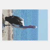 「見た目」のペリカン、ギフトラップシート ラッピングペーパーシート (正面2)