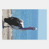 「見た目」のペリカン、ギフトラップシート ラッピングペーパーシート (正面)