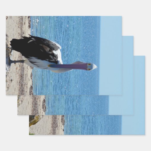 「見た目」のペリカン、ギフトラップシート ラッピングペーパーシート (セット)