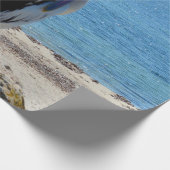 「見た目」のペリカン，ラッピングペーパー ラッピングペーパー (角)