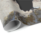 「見た目」のペリカン，ラッピングペーパー ラッピングペーパー (ロールコーナー)