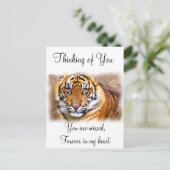 見た目 ポストカード (スタンド正面)