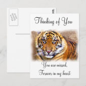 見た目 ポストカード (正面/裏面)