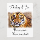 見た目 ポストカード (正面)