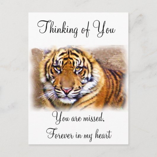 見た目 ポストカード (正面)