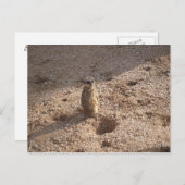 見た考えぞ! ポストカード (正面/裏面)