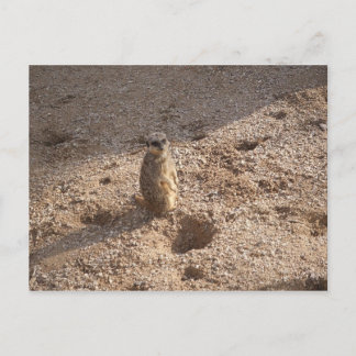 見た考えぞ！ ポストカード