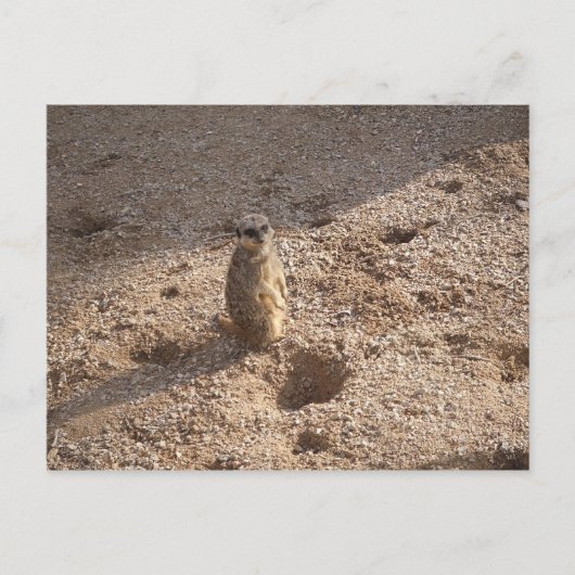 見た考えぞ! ポストカード (正面)