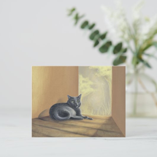 見つかった自然 ポストカード (スタンド正面)