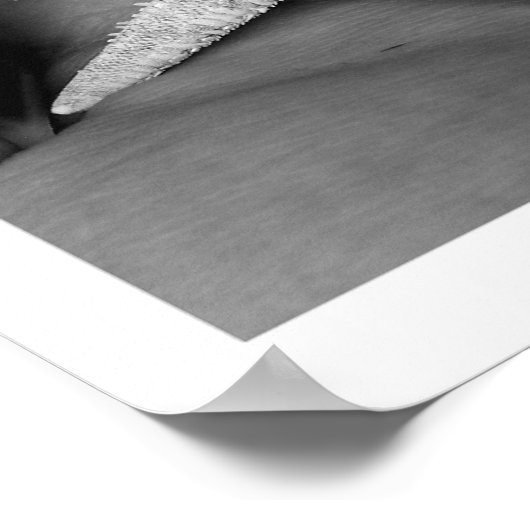 見つかった ポスター (角)