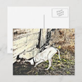 見つけたぞ！ ポストカード (正面/裏面)