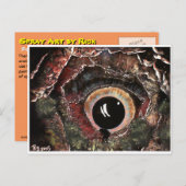 見つけたぞ! ポストカード (正面/裏面)