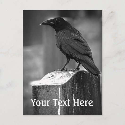 見つけた羽根 ポストカード (正面)