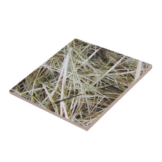 "見つけることが不可能なもの"写真のタイル タイル (側面)