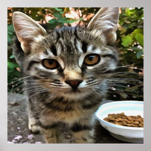 見つめてくるタビー猫の子猫 ポスター